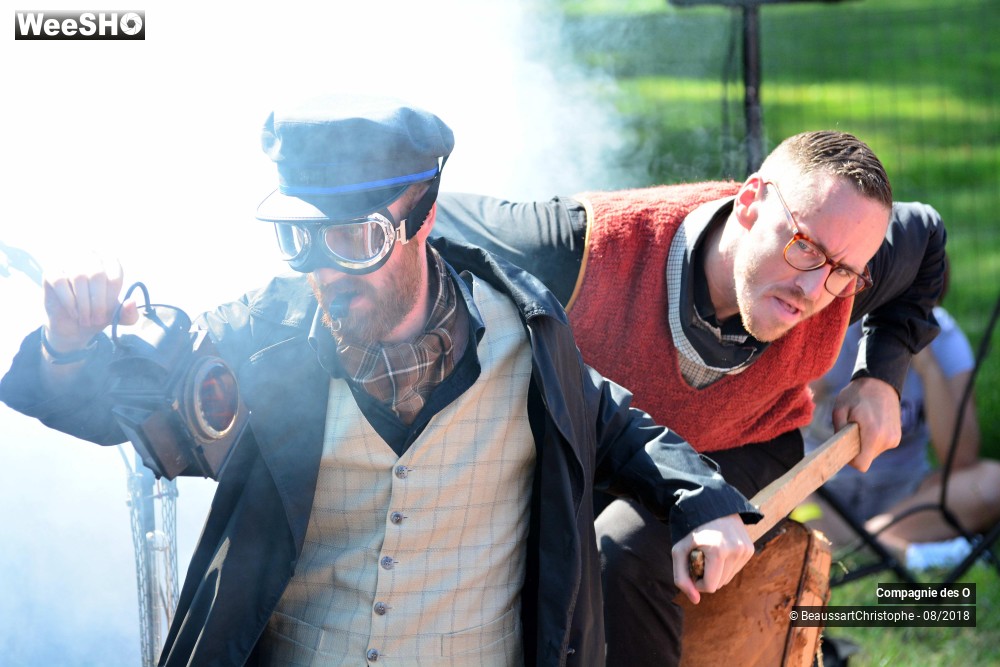 32/48 photos du spectacle Sherlock Holmes, son dernier coup d'archet