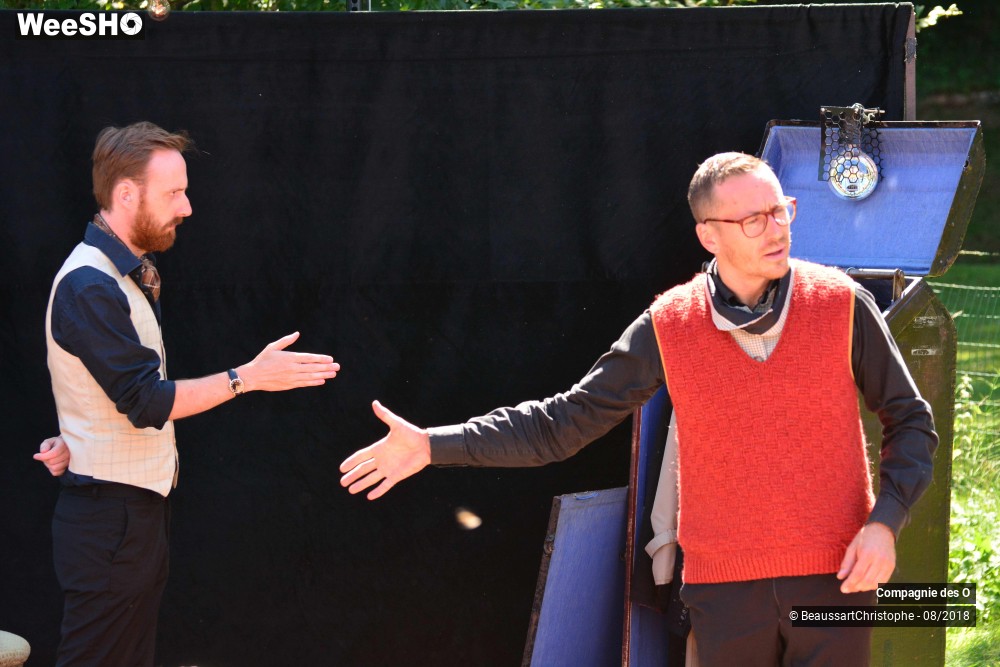 33/48 photos du spectacle Sherlock Holmes, son dernier coup d'archet