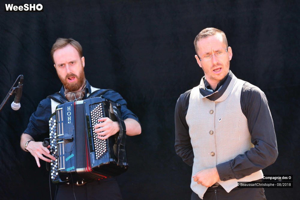 35/48 photos du spectacle Sherlock Holmes, son dernier coup d'archet