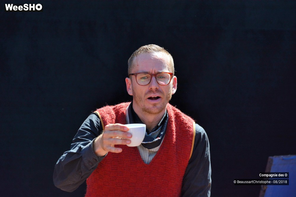 36/48 photos du spectacle Sherlock Holmes, son dernier coup d'archet