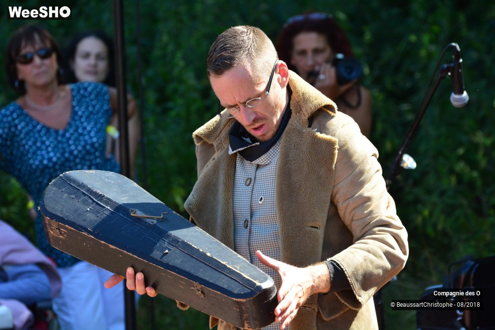 37/48 photos du spectacle Sherlock Holmes, son dernier coup d'archet