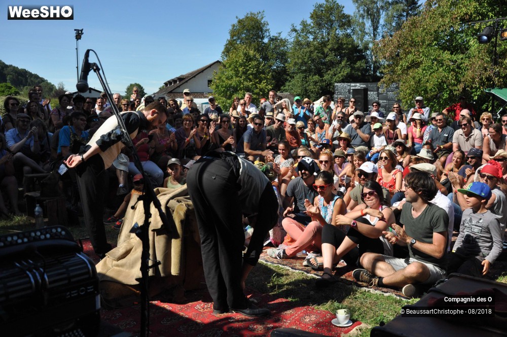 38/48 photos du spectacle Sherlock Holmes, son dernier coup d'archet