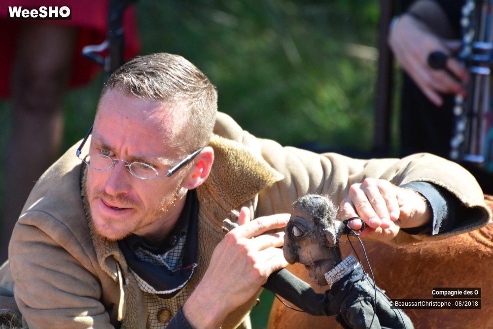 39/48 photos du spectacle Sherlock Holmes, son dernier coup d'archet