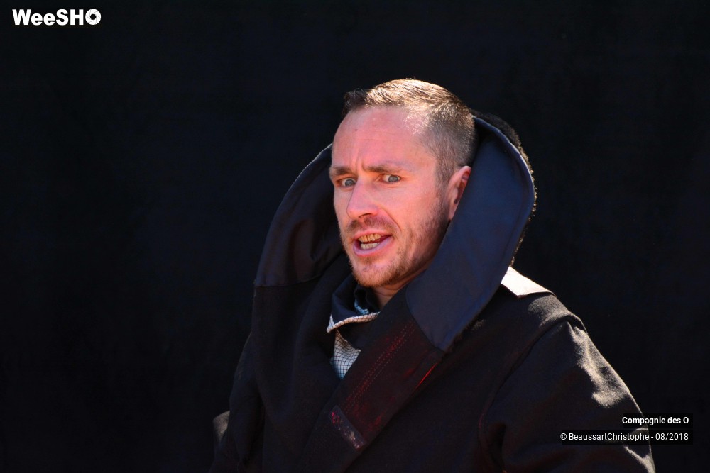 40/48 photos du spectacle Sherlock Holmes, son dernier coup d'archet