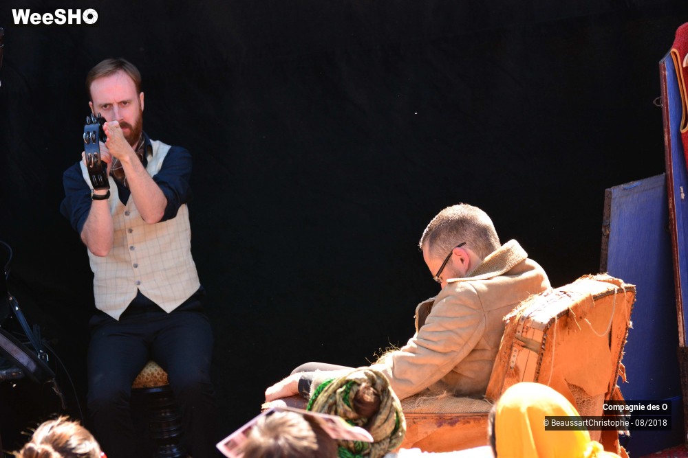 42/48 photos du spectacle Sherlock Holmes, son dernier coup d'archet