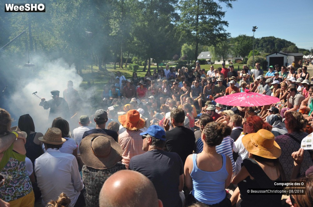 43/48 photos du spectacle Sherlock Holmes, son dernier coup d'archet