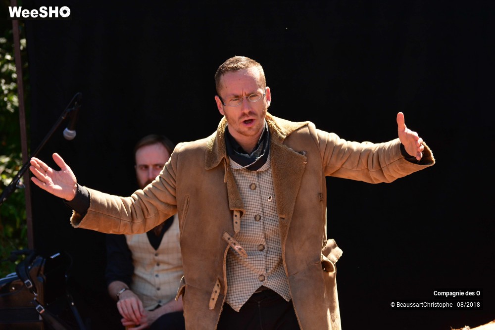 44/48 photos du spectacle Sherlock Holmes, son dernier coup d'archet