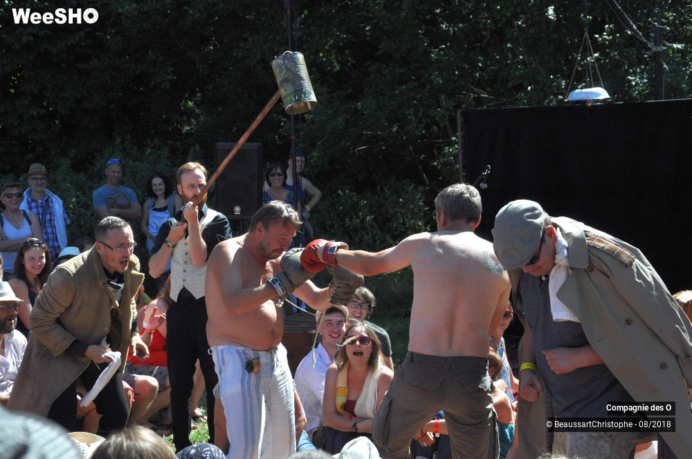 45/48 photos du spectacle Sherlock Holmes, son dernier coup d'archet