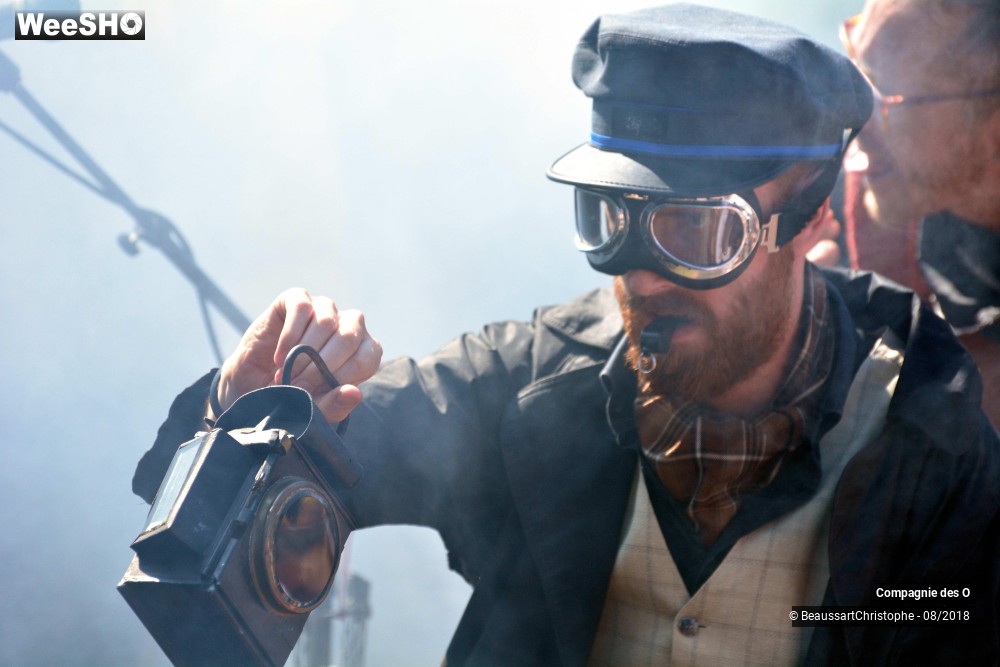 47/48 photos du spectacle Sherlock Holmes, son dernier coup d'archet