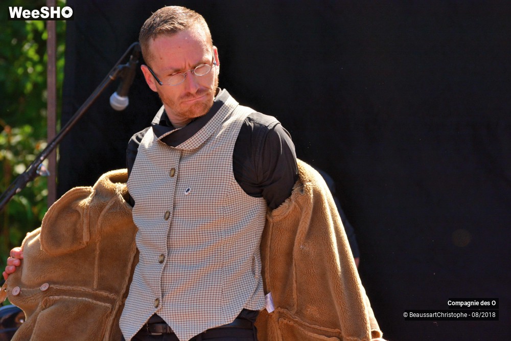 48/48 photos du spectacle Sherlock Holmes, son dernier coup d'archet