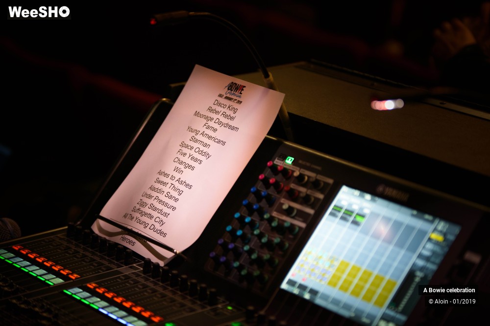 13/24 photos du spectacle A Bowie celebration