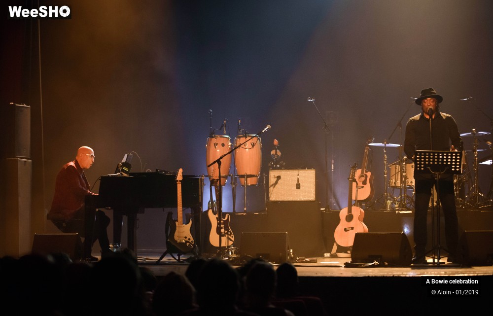 18/24 photos du spectacle A Bowie celebration