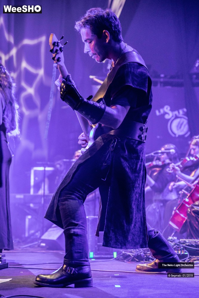 4/33 photos du spectacle The Neko Light Orchestra