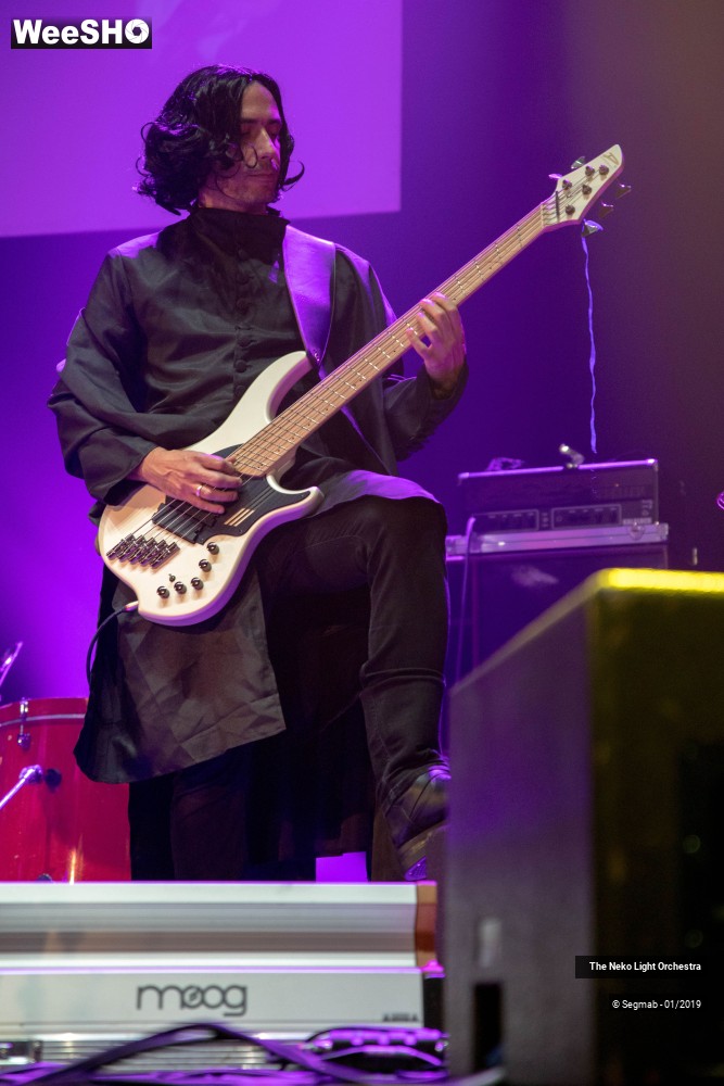 6/33 photos du spectacle The Neko Light Orchestra