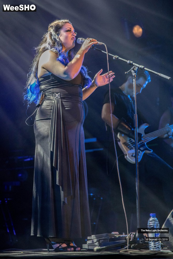 8/33 photos du spectacle The Neko Light Orchestra