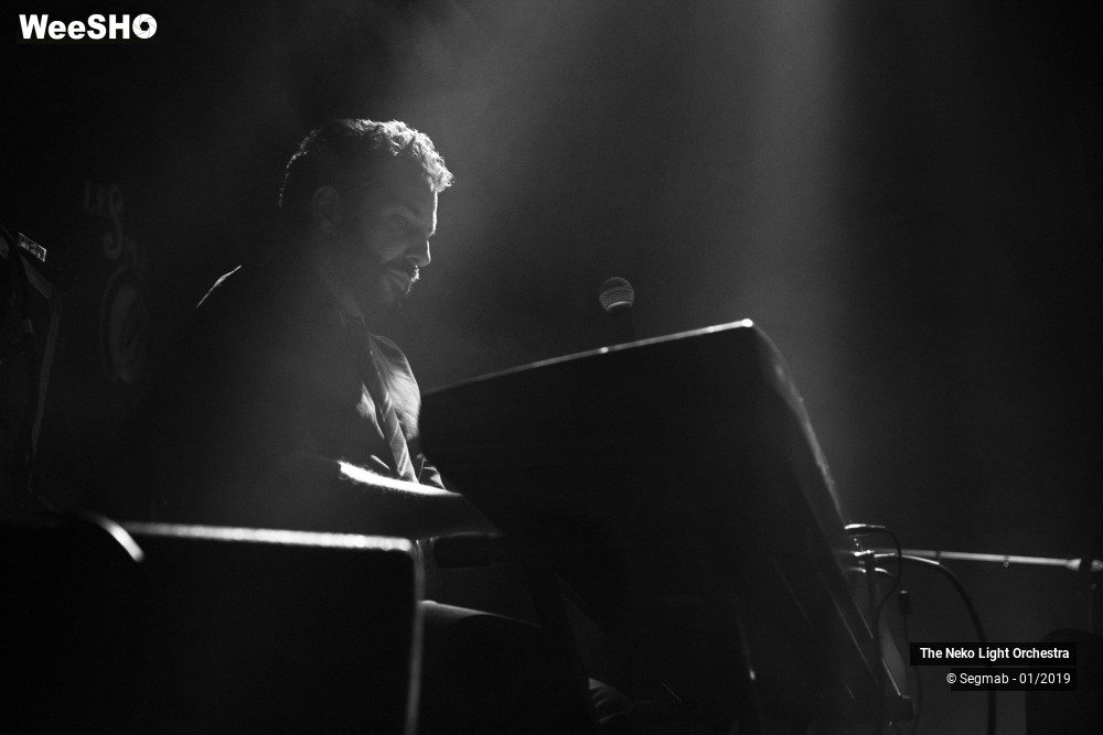 10/33 photos du spectacle The Neko Light Orchestra