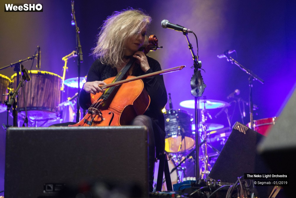 11/33 photos du spectacle The Neko Light Orchestra