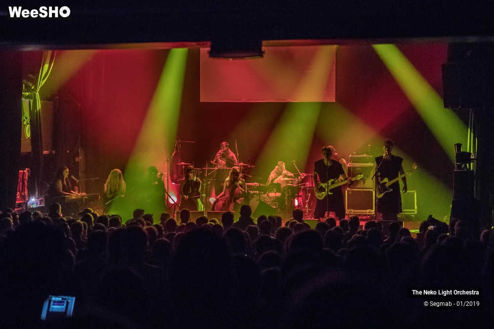16/33 photos du spectacle The Neko Light Orchestra