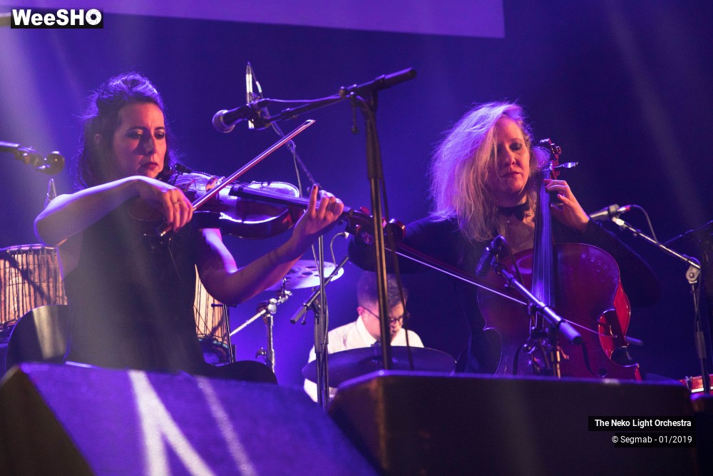 19/33 photos du spectacle The Neko Light Orchestra