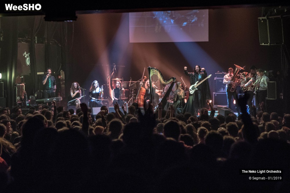 21/33 photos du spectacle The Neko Light Orchestra