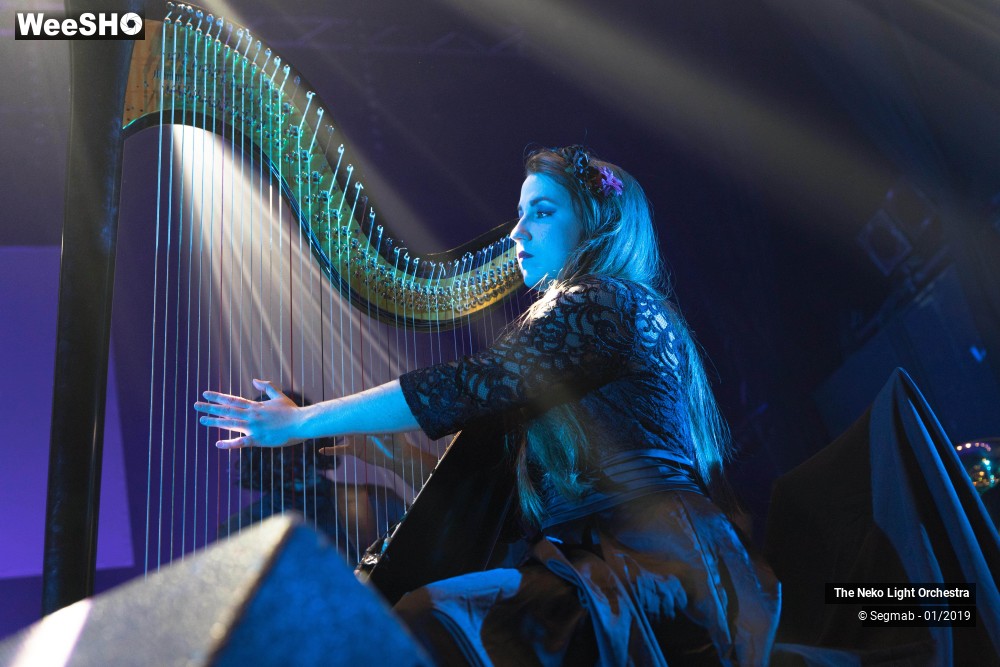 23/33 photos du spectacle The Neko Light Orchestra