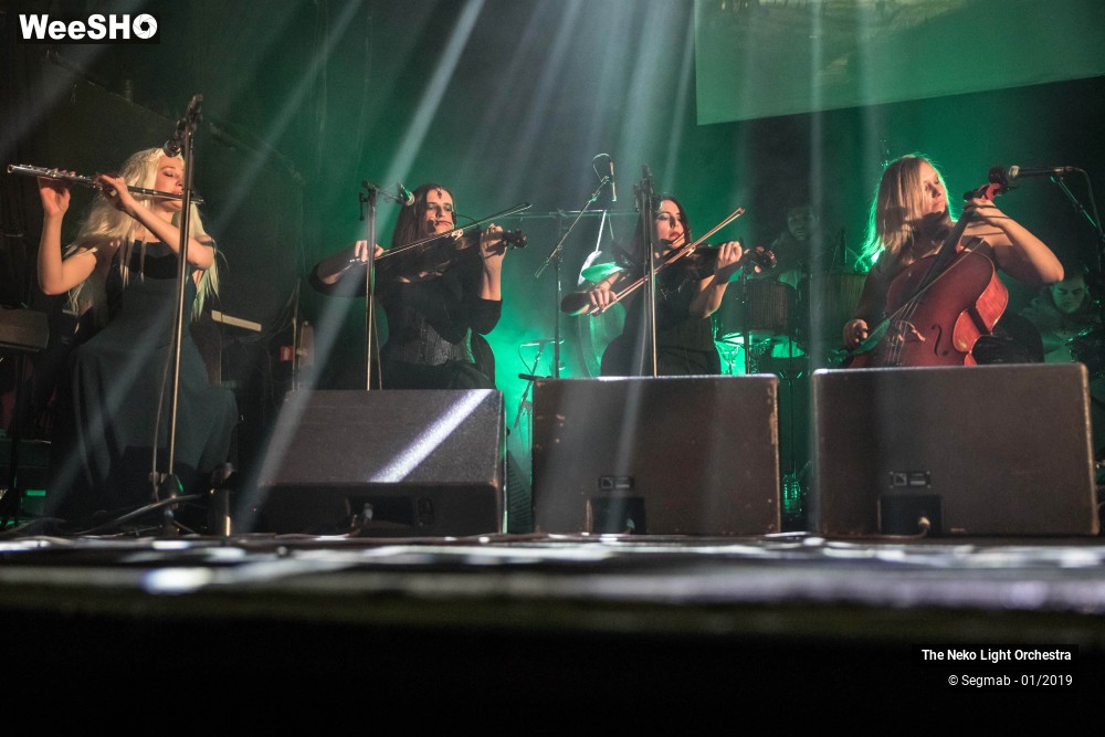 25/33 photos du spectacle The Neko Light Orchestra