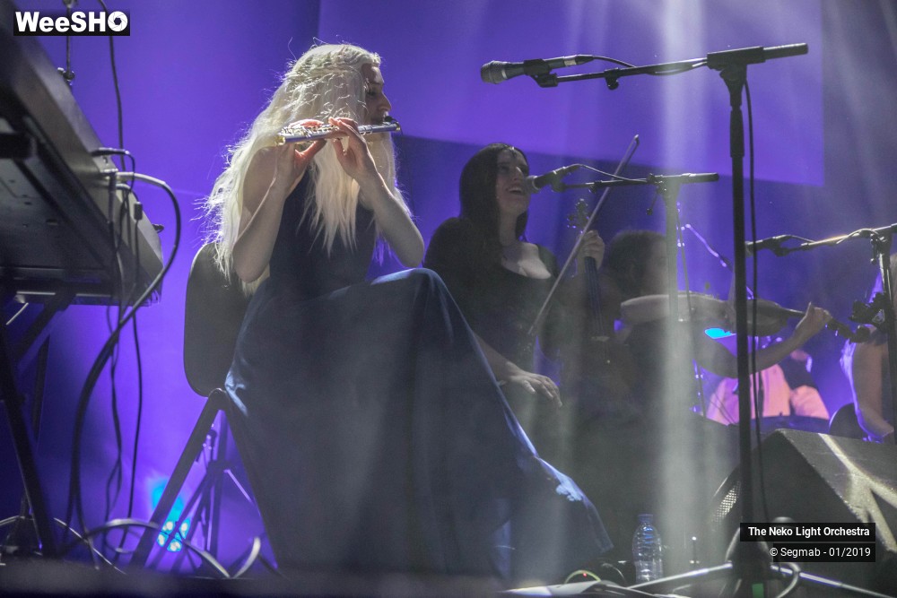 26/33 photos du spectacle The Neko Light Orchestra