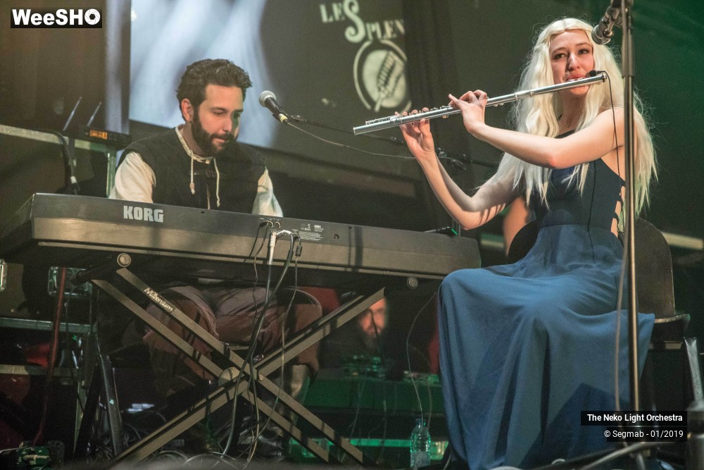 28/33 photos du spectacle The Neko Light Orchestra
