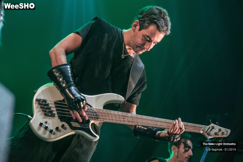 33/33 photos du spectacle The Neko Light Orchestra