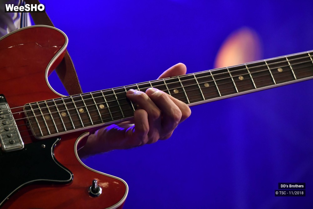 7/50 photos du spectacle DD's Brothers