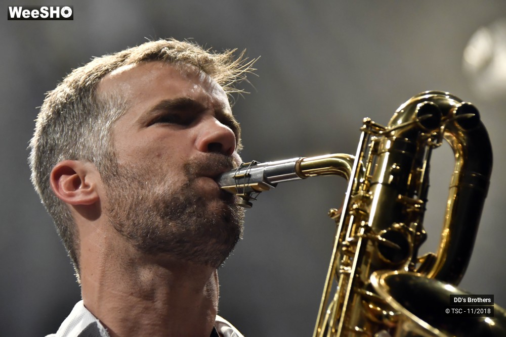 9/50 photos du spectacle DD's Brothers