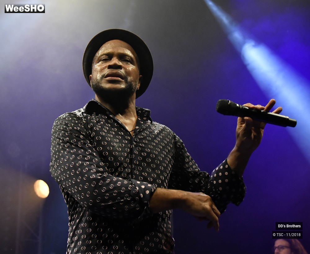 14/50 photos du spectacle DD's Brothers