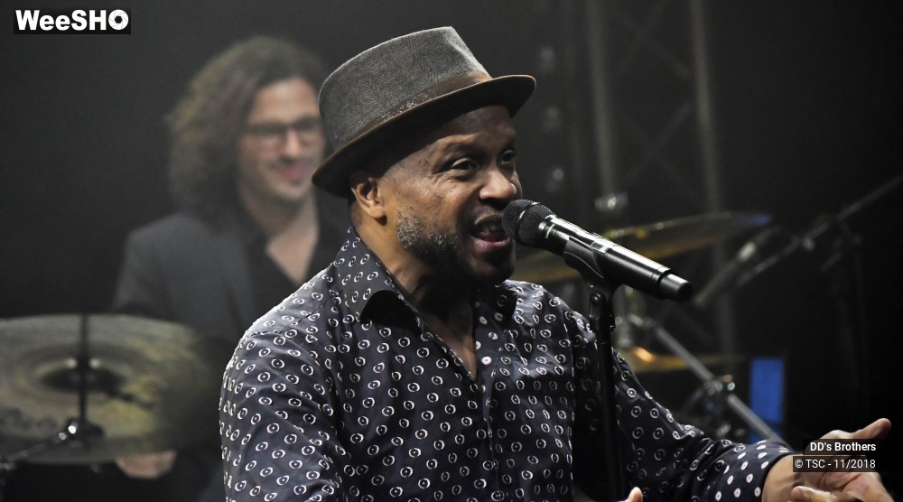 19/50 photos du spectacle DD's Brothers