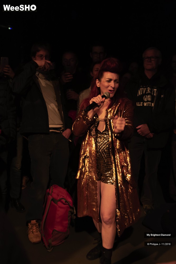 4/9 photos du spectacle My Brightest Diamond
