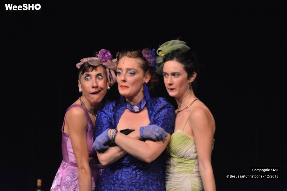 33/40 photos du spectacle Garden Party