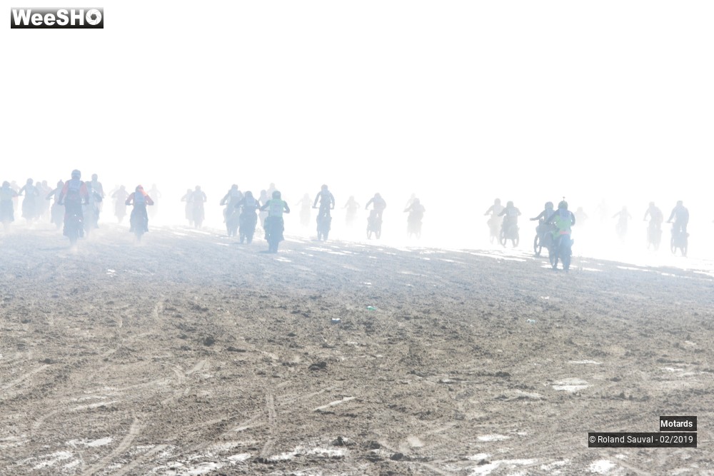 35/46 photos du spectacle Enduropale la course