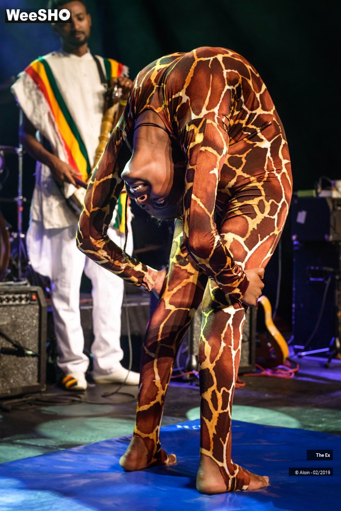 8/31 photos du spectacle The EX