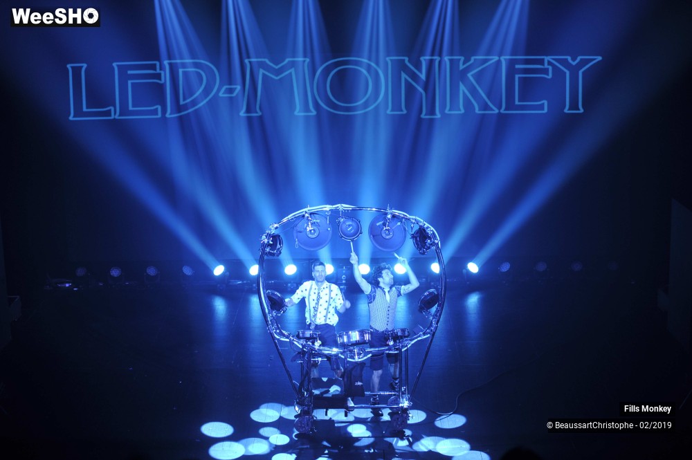 14/56 photos du spectacle Fills Monkey