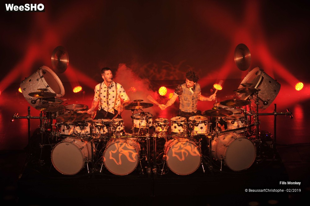 32/56 photos du spectacle Fills Monkey