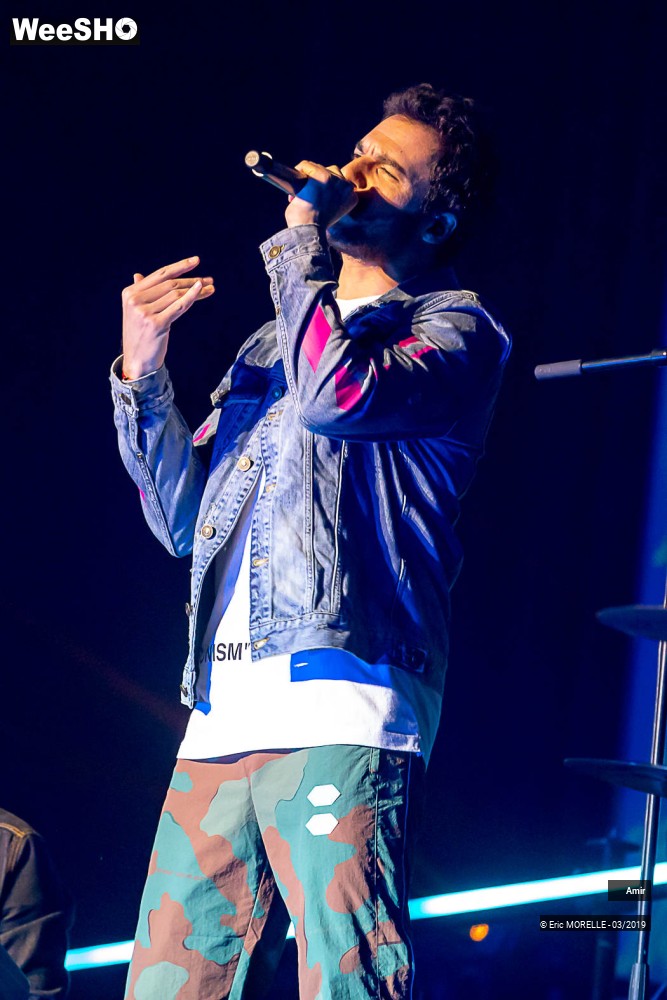 13/52 photos du spectacle Amir