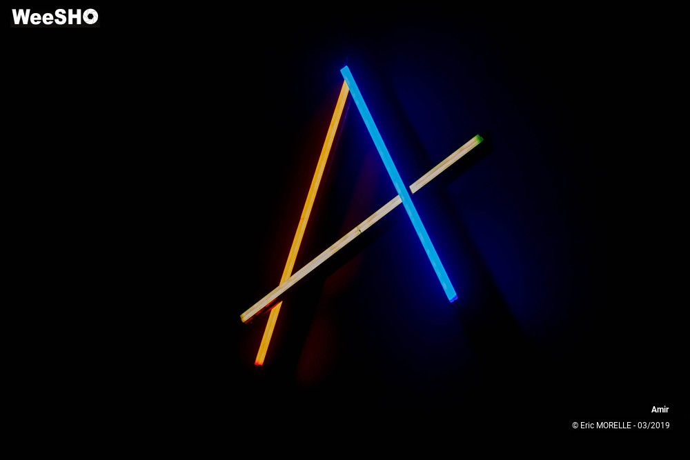 47/52 photos du spectacle Amir