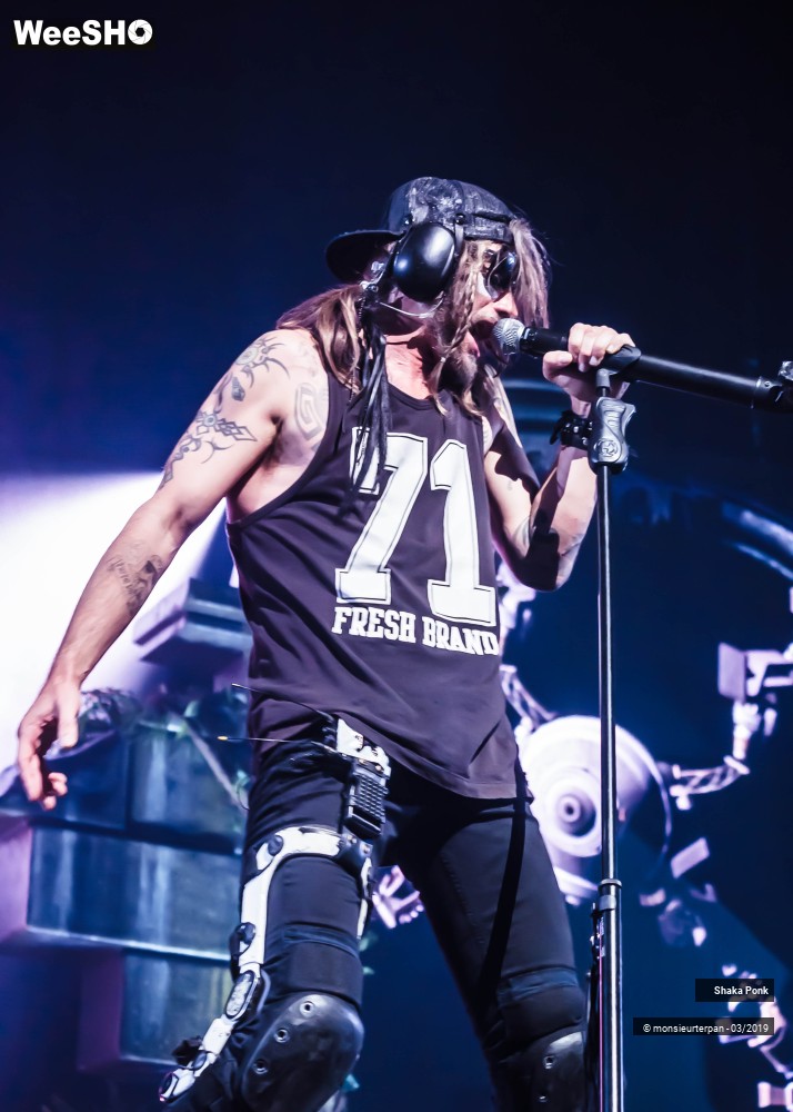 17/23 photos du spectacle Shaka Ponk