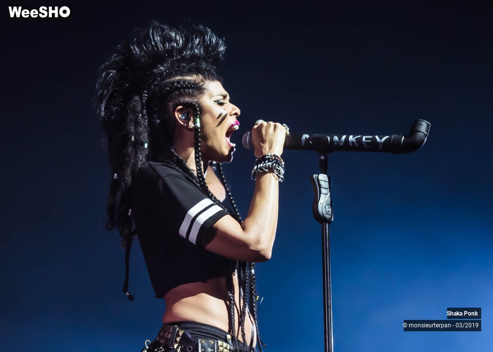 21/23 photos du spectacle Shaka Ponk