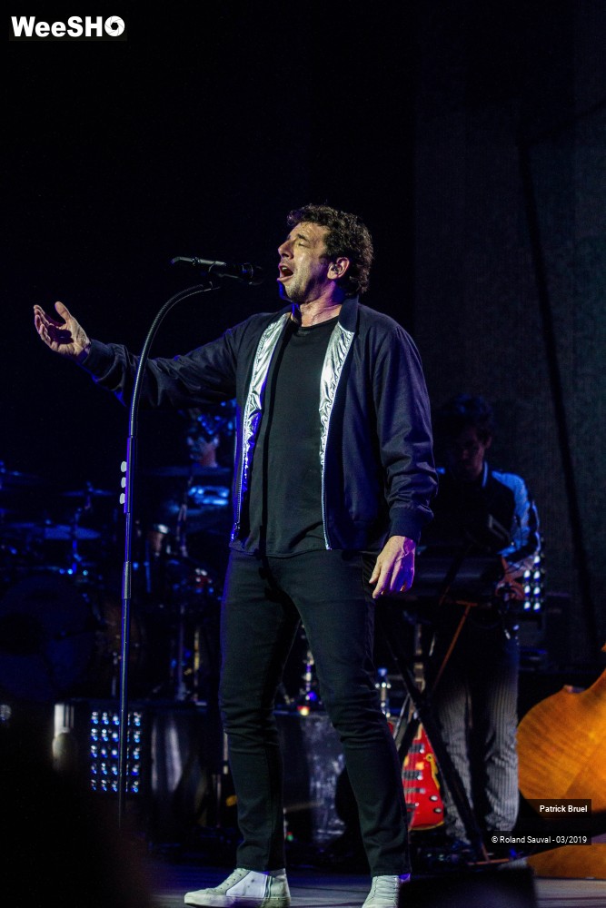 2/50 photos du spectacle Patrick Bruel