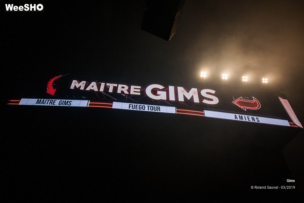 36/50 photos du spectacle Gims