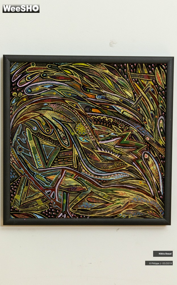 1/9 photos du spectacle Nikita Beaud