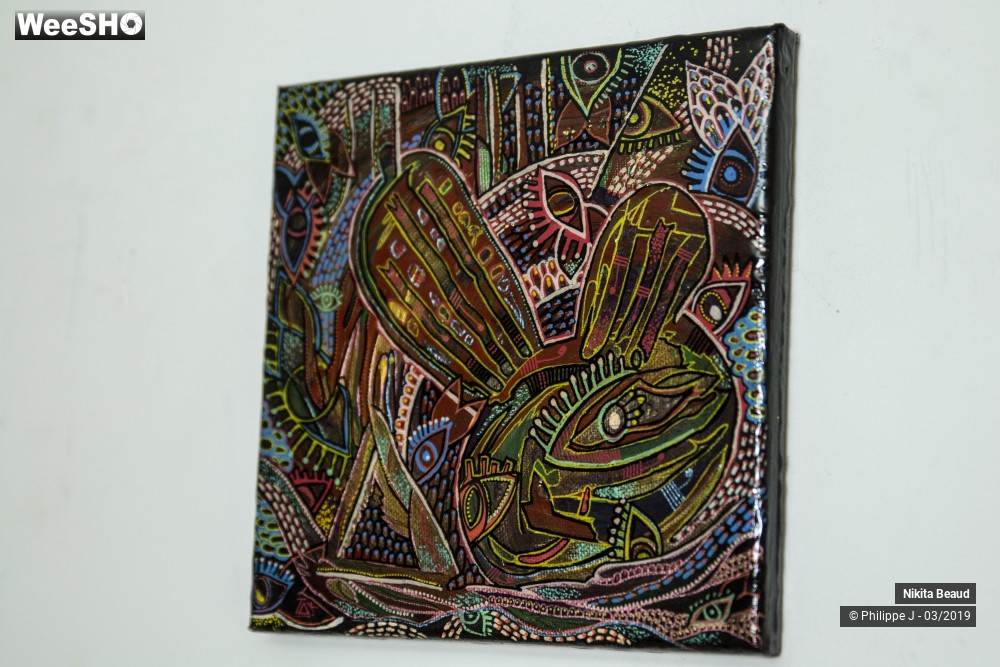 5/9 photos du spectacle Nikita Beaud