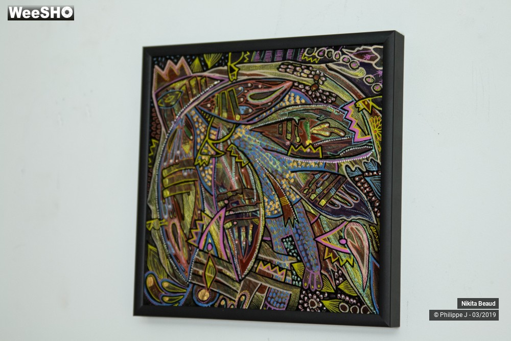 8/9 photos du spectacle Nikita Beaud