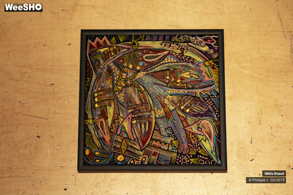 9/9 photos du spectacle Nikita Beaud