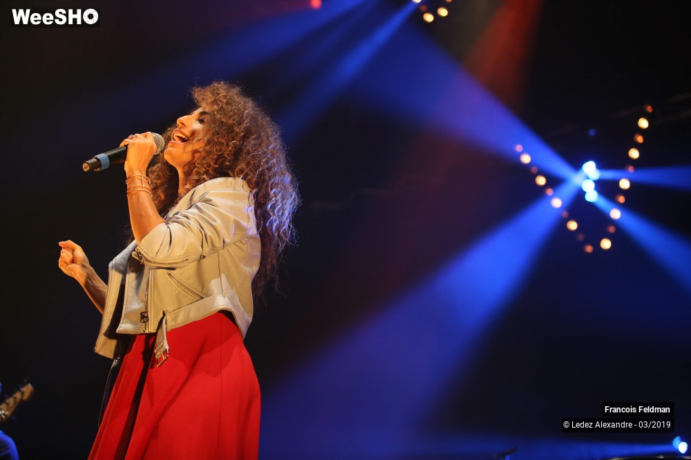 13/28 photos du spectacle François Feldman